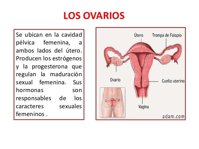 Se ha hinchado el cuello a la osteocondrosis