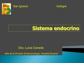 Dra. Lucia Canedo
Jefa de la División Endocrinología, Hospital Durand
biologíaSan Ignacio
 