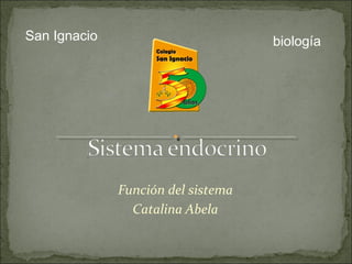 Función del sistema
Catalina Abela
San Ignacio biología
 