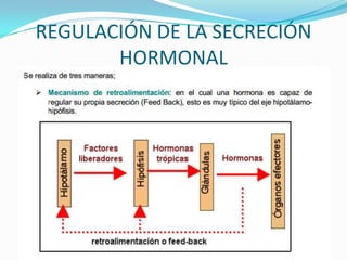 REGULACIÓN DE LA SECRECIÓN
HORMONAL

 