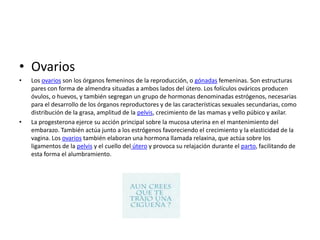 • Ovarios
•

•

Los ovarios son los órganos femeninos de la reproducción, o gónadas femeninas. Son estructuras
pares con forma de almendra situadas a ambos lados del útero. Los folículos ováricos producen
óvulos, o huevos, y también segregan un grupo de hormonas denominadas estrógenos, necesarias
para el desarrollo de los órganos reproductores y de las características sexuales secundarias, como
distribución de la grasa, amplitud de la pelvis, crecimiento de las mamas y vello púbico y axilar.
La progesterona ejerce su acción principal sobre la mucosa uterina en el mantenimiento del
embarazo. También actúa junto a los estrógenos favoreciendo el crecimiento y la elasticidad de la
vagina. Los ovarios también elaboran una hormona llamada relaxina, que actúa sobre los
ligamentos de la pelvis y el cuello del útero y provoca su relajación durante el parto, facilitando de
esta forma el alumbramiento.

 