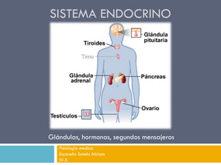 SISTEMA ENDOCRINO
Fisiología medica
Escareño Sotelo Miriam
IV-5
Glándulas, hormonas, segundos mensajeros
 