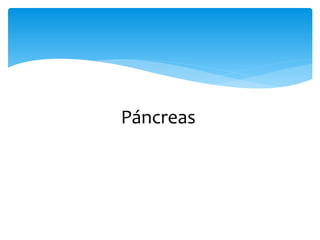 Páncreas
 