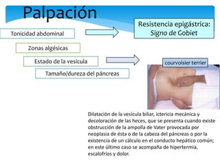 Palpación
Tonicidad abdominal
Zonas algésicas
Estado de la vesícula
Tamaño/dureza del páncreas
courvoisier terrier
Resistencia epigástrica:
Signo de Gobiet
Dilatación de la vesícula biliar, ictericia mecánica y
decoloración de las heces, que se presenta cuando existe
obstrucción de la ampolla de Vater provocada por
neoplasia de ésta o de la cabeza del páncreas o por la
existencia de un cálculo en el conducto hepático común;
en este último caso se acompaña de hipertermia,
escalofríos y dolor.
 