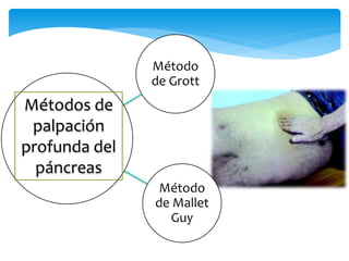 Método
de Grott
Método
de Mallet
Guy
Métodos de
palpación
profunda del
páncreas
 