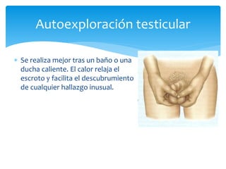  Se realiza mejor tras un baño o una
ducha caliente. El calor relaja el
escroto y facilita el descubrumiento
de cualquier hallazgo inusual.
Autoexploración testicular
 