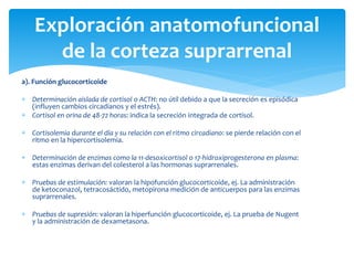 a). Función glucocorticoide
 Determinación aislada de cortisol o ACTH: no útil debido a que la secreción es episódica
(influyen cambios circadianos y el estrés).
 Cortisol en orina de 48-72 horas: indica la secreción integrada de cortisol.
 Cortisolemia durante el día y su relación con el ritmo circadiano: se pierde relación con el
ritmo en la hipercortisolemia.
 Determinación de enzimas como la 11-desoxicortisol o 17-hidroxiprogesterona en plasma:
estas enzimas derivan del colesterol a las hormonas suprarrenales.
 Pruebas de estimulación: valoran la hipofunción glucocorticoide, ej. La administración
de ketoconazol, tetracosáctido, metopirona medición de anticuerpos para las enzimas
suprarrenales.
 Pruebas de supresión: valoran la hiperfunción glucocorticoide, ej. La prueba de Nugent
y la administración de dexametasona.
Exploración anatomofuncional
de la corteza suprarrenal
 