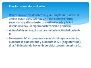  Función mineralocorticoide
 Determinación de aldosterona y A-II en plasma u orina: si
ambas están elevadas hay un hiperaldosteronismo
secundario y si la aldosterona esta elevada y la A-II
disminuida hay un hiperaldosteronismo primario.
 Actividad de renina plasmática: mide la actividad de la A-
II
 Furosemida IV: en personas sanas disminuye la volemia,
aumenta la aldosterona y aumenta la A-II (angiotensina),
si la A-II desciende hay un hiperaldosteronismo primario.
 