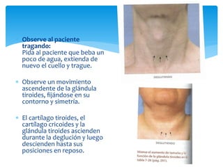  Observe al paciente
tragando:
Pida al paciente que beba un
poco de agua, extienda de
nuevo el cuello y trague.
 Observe un movimiento
ascendente de la glándula
tiroides, fijándose en su
contorno y simetría.
 El cartílago tiroides, el
cartílago cricoides y la
glándula tiroides ascienden
durante la deglución y luego
descienden hasta sus
posiciones en reposo.
 