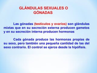 GLÁNDULAS SEXUALES O 
GÓNADAS 
Las gónadas (testículos y ovarios) son glándulas 
mixtas que en su secreción externa producen gametos 
y en su secreción interna producen hormonas 
Cada gónada produce las hormonas propias de 
su sexo, pero también una pequeña cantidad de las del 
sexo contrario. El control se ejerce desde la hipófisis. 
 