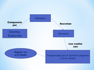 Compuesto 
por Secretan 
Sistema 
Endocrino 
Glándulas 
Hormonas 
Transportadas por el torrente sanguíneo 
a otras células 
Regular sus 
actividades 
Las cuales 
son 
 
