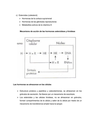 c) Esteroides (colesterol)
 Hormonas de la corteza suprarrenal
 Hormonas de las glándulas reproductoras
 Metabolitos activos de la vitamina D
Mecanismo de acción de las hormonas asteroideas y tiroideas
Las hormonas se almacenan en las células
 Estructura proteica y peptídica y catecolamionas, se almacenan en los
gránulos de secreción. Se liberan por un mecanismo de exocitosis.
 Los esteroides y las células tiroideas, no se almacenan en gránulos,
forman compartimentos de la célula y salen de la célula por medio de un
mecanismo de transferencia simple hacia la sangre
 