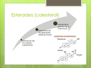 Esteroides (colesterol)
Hormonas de
la corteza
suprarrenal
Hormonas de
las glándulas
reproductoras
Metabolitos
activos de la
vitamina D
 