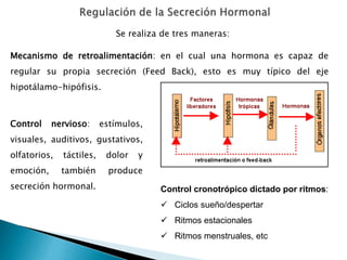 Mecanismo de retroalimentación: en el cual una hormona es capaz de
regular su propia secreción (Feed Back), esto es muy típico del eje
hipotálamo-hipófisis.
Control nervioso: estímulos,
visuales, auditivos, gustativos,
olfatorios, táctiles, dolor y
emoción, también produce
secreción hormonal.
Se realiza de tres maneras:
Control cronotrópico dictado por ritmos:
 Ciclos sueño/despertar
 Ritmos estacionales
 Ritmos menstruales, etc
 