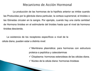 La producción de las hormonas de la hipófisis anterior se inhibe cuando
las Producidas por la glándula diana particular, la corteza suprarrenal, el tiroides o
las Gónadas circulan en la sangre. Por ejemplo, cuando hay una cierta cantidad
de Hormona tiroidea en el estimulante del tiroides hasta que el nivel de hormona
tiroidea descienda.
La existencia de los receptores específicos a nivel de la
célula diana, pueden estar a distinto nivel:
 Membrana plasmática: para hormonas con estructura
proteica o peptídica y catecolaminas
 Citoplasma: hormonas esteroideas de las células diana.
 Núcleo de la célula diana: hormonas tiroideas
 