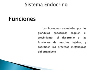 Las hormonas secretadas por las
glándulas endocrinas regulan el
crecimiento, el desarrollo y las
funciones de muchos tejidos, y
coordinan los procesos metabólicos
del organismo
Funciones
 