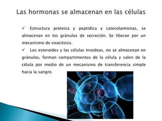  Estructura proteica y peptídica y catecolamionas, se
almacenan en los gránulos de secreción. Se liberan por un
mecanismo de exocitosis.
 Los esteroides y las células tiroideas, no se almacenan en
gránulos, forman compartimentos de la célula y salen de la
célula por medio de un mecanismo de transferencia simple
hacia la sangre.
 