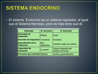 • El sistema Endocrino es un sistema regulador, al igual
que el Sistema Nervioso, pero es más lento que él.
 