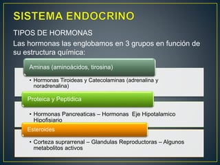 TIPOS DE HORMONAS
Las hormonas las englobamos en 3 grupos en función de
su estructura química:
• Hormonas Tiroideas y Catecolaminas (adrenalina y
noradrenalina)
Aminas (aminoácidos, tirosina)
• Hormonas Pancreaticas – Hormonas Eje Hipotalamico
Hipofisiario
Proteica y Peptidica
• Corteza suprarrenal – Glandulas Reproductoras – Algunos
metabolitos activos
Esteroides
 