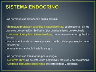 Las hormonas se almacenan en las células:
· Estructura proteica y peptídica y catecolaminas, se almacenan en los
gránulos de secreción. Se liberan por un mecanismo de exocitosis
· Los esteroides y las células tiroideas, no se almacenan en gránulos,
forman
compartimentos de la célula y salen de la célula por medio de un
mecanismo
de transferencia simple hacia la sangre
Las hormonas se transportan por la sangre:
· De forma libre: los de estructura peptídica y proteica y catecolaminas.
· Unidas a globulinas específicas: las esteroideas y tiroideas.
 