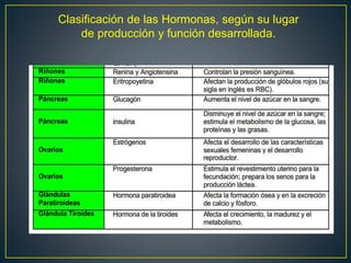 Clasificación de las Hormonas, según su lugar
de producción y función desarrollada.
 