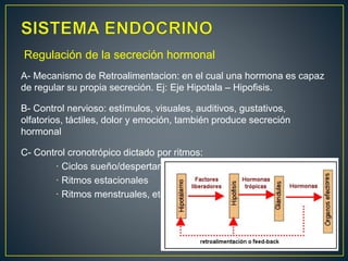 A- Mecanismo de Retroalimentacion: en el cual una hormona es capaz
de regular su propia secreción. Ej: Eje Hipotala – Hipofisis.
B- Control nervioso: estímulos, visuales, auditivos, gustativos,
olfatorios, táctiles, dolor y emoción, también produce secreción
hormonal
C- Control cronotrópico dictado por ritmos:
· Ciclos sueño/despertar
· Ritmos estacionales
· Ritmos menstruales, etc.
Regulación de la secreción hormonal
 