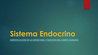 Sistema Endocrino
IDENTIFICACIÓN DE LA ESTRUCTURA Y FUNCIÓN DEL CUERPO HUMANO
 
