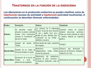 TRASTORNOS EN LA FUNCIÓN DE LA ENDOCRINA
Las alteraciones en la producción endocrina se pueden clasificar como de
hiperfunción (exceso de actividad) o hipofunción (actividad insuficiente). A
continuación se describen diversas enfermedades:
 
