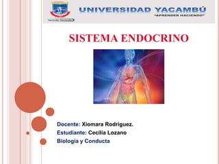 SISTEMA ENDOCRINO
Docente: Xiomara Rodríguez.
Estudiante: Cecilia Lozano
Biología y Conducta
 