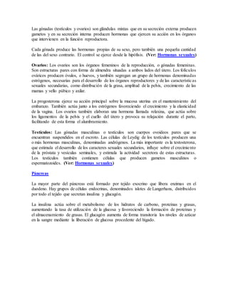 Las gónadas (testículos y ovarios) son glándulas mixtas que en su secreción externa producen
gametos y en su secreción interna producen hormonas que ejercen su acción en los órganos
que intervienen en la función reproductora.
Cada gónada produce las hormonas propias de su sexo, pero también una pequeña cantidad
de las del sexo contrario. El control se ejerce desde la hipófisis. (Ver: Hormonas sexuales)
Ovarios: Los ovarios son los órganos femeninos de la reproducción, o gónadas femeninas.
Son estructuras pares con forma de almendra situadas a ambos lados del útero. Los folículos
ováricos producen óvulos, o huevos, y también segregan un grupo de hormonas denominadas
estrógenos, necesarias para el desarrollo de los órganos reproductores y de las características
sexuales secundarias, como distribución de la grasa, amplitud de la pelvis, crecimiento de las
mamas y vello púbico y axilar.
La progesterona ejerce su acción principal sobre la mucosa uterina en el mantenimiento del
embarazo. También actúa junto a los estrógenos favoreciendo el crecimiento y la elasticidad
de la vagina. Los ovarios también elaboran una hormona llamada relaxina, que actúa sobre
los ligamentos de la pelvis y el cuello del útero y provoca su relajación durante el parto,
facilitando de esta forma el alumbramiento.
Testículos: Las gónadas masculinas o testículos son cuerpos ovoideos pares que se
encuentran suspendidos en el escroto. Las células de Leydig de los testículos producen una
o más hormonas masculinas, denominadas andrógenos. La más importante es la testosterona,
que estimula el desarrollo de los caracteres sexuales secundarios, influye sobre el crecimiento
de la próstata y vesículas seminales, y estimula la actividad secretora de estas estructuras.
Los testículos también contienen células que producen gametos masculinos o
espermatozoides. (Ver: Hormonas sexuales)
Páncreas
La mayor parte del páncreas está formado por tejido exocrino que libera enzimas en el
duodeno. Hay grupos de células endocrinas, denominados islotes de Langerhans, distribuidos
por todo el tejido que secretan insulina y glucagón.
La insulina actúa sobre el metabolismo de los hidratos de carbono, proteínas y grasas,
aumentando la tasa de utilización de la glucosa y favoreciendo la formación de proteínas y
el almacenamiento de grasas. El glucagón aumenta de forma transitoria los niveles de azúcar
en la sangre mediante la liberación de glucosa procedente del hígado.
 