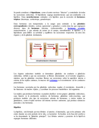 Se puede considerar el hipotálamo, como el centro nervioso "director" y controlador de todas
las secreciones endocrinas. El hipotálamo segrega neurohormonas que son conducidas a la
hipófisis. Estas neurohormonas estimulan a la hipófisis para la secreción de hormonas
trópicas (tireotropa, corticotropa, gonadotropa).
Estas hormonas son transportadas a la sangre para estimular a las glándulas
correspondientes (tiroides, corteza suprarrenal y gónadas) y serán éstas las que segreguen
diversos tipos de hormonas (tiroxina, corticosteroides y hormonas sexuales,
respectivamente ), que además de actuar en el cuerpo, retroalimentan la hipófisis y el
hipotálamo para inhibir su actividad y equilibran las secreciones respectivas de estos dos
órganos y de la glándula destinataria.
Los órganos endocrinos también se denominan glándulas sin conducto o glándulas
endocrinas, debido a que sus secreciones se liberan directamente en el torrente sanguíneo,
mientras que las glándulas exocrinas liberan sus secreciones sobre la superficie interna o
externa de los tejidos cutáneos, la mucosa del estómago o el revestimiento de los conductos
pancreáticos.
Las hormonas secretadas por las glándulas endocrinas regulan el crecimiento, desarrollo y
las funciones de muchos tejidos, y coordinan los procesos metabólicos del organismo.
Los tejidos que producen hormonas se pueden clasificar en tres grupos: glándulas endocrinas,
cuya función es la producción exclusiva de hormonas; glándulas endo-exocrinas, que
producen también otro tipo de secreciones además de hormonas; y ciertos tejidos no
glandulares, como el tejido nervioso del sistema nervioso autónomo, que produce sustancias
parecidas a las hormonas.
Hipófisis
La hipófisis, está formada por tres lóbulos: el anterior, el intermedio, que en los primates sólo
existe durante un corto periodo de la vida, y el posterior. Se localiza en la base del cerebro y
se ha denominado la "glándula principal". Los lóbulos anterior y posterior de la hipófisis
segregan hormonas diferentes.
 