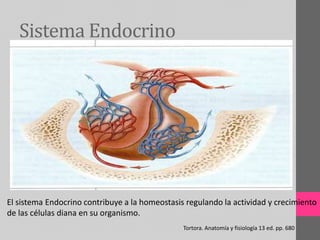 Sistema Endocrino
El sistema Endocrino contribuye a la homeostasis regulando la actividad y crecimiento
de las células diana en su organismo.
Tortora. Anatomía y fisiología 13 ed. pp. 680
 