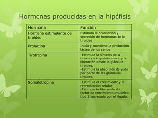 Hormonas producidas en la hipófisis
Hormona Función
Hormona estimulante de
tiroides
Estimula la producción y
secreción de hormonas de la
tiroides
Prolactina Inicia y mantiene la producción
láctea de los senos
Tirotropina -Estimula la síntesis de la
tiroxina y triyodotironina, y la
liberación desde la glándula
tiroides.
-Estimula la absorción de yodo
por parte de las glándulas
tiroides.
Somatotropina -Estimula el crecimiento y la
reproducción celular
-Estimula la liberación del
factor de crecimiento insuliníco
tipo 1 secretado por el hígado.
 