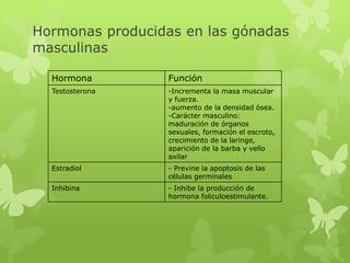 Hormonas producidas en las gónadas
masculinas
Hormona Función
Testosterona -Incrementa la masa muscular
y fuerza.
-aumento de la densidad ósea.
-Carácter masculino:
maduración de órganos
sexuales, formación el escroto,
crecimiento de la laringe,
aparición de la barba y vello
axilar
Estradiol - Previne la apoptosis de las
células germinales
Inhibina - Inhibe la producción de
hormona foliculoestimulante.
 