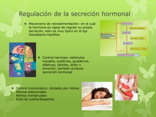 Regulación de la secreción hormonal
 Mecanismo de retroalimentación: en el cual
la hormona es capaz de regular su propia
secreción, esto es muy típico en el eje
hipotálamo-hipófisis
 Control nervioso: estímulos
visuales, auditivos, gustativos,
olfativos, táctiles, dolor y
emoción; también produce
secreción hormonal
 Control cronotrópico: dictados por ritmos
- Ritmos estacionales
- Ritmos menstruales
- Ciclo de sueño/despertar.
 
