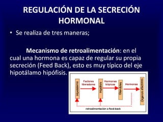 REGULACIÓN DE LA SECRECIÓN
HORMONAL
• Se realiza de tres maneras;
Mecanismo de retroalimentación: en el
cual una hormona es capaz de regular su propia
secreción (Feed Back), esto es muy típico del eje
hipotálamo hipófisis.
 