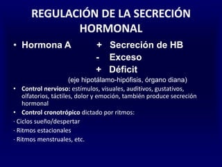 REGULACIÓN DE LA SECRECIÓN
HORMONAL
• Hormona A + Secreción de HB
- Exceso
+ Déficit
(eje hipotálamo-hipófisis, órgano diana)
• Control nervioso: estímulos, visuales, auditivos, gustativos,
olfatorios, táctiles, dolor y emoción, también produce secreción
hormonal
• Control cronotrópico dictado por ritmos:
· Ciclos sueño/despertar
· Ritmos estacionales
· Ritmos menstruales, etc.
 