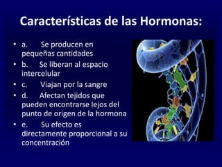 Características de las Hormonas:
• a. Se producen en
pequeñas cantidades
• b. Se liberan al espacio
intercelular
• c. Viajan por la sangre
• d. Afectan tejidos que
pueden encontrarse lejos del
punto de origen de la hormona
• e. Su efecto es
directamente proporcional a su
concentración
 