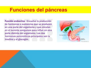 Funciones del páncreas
Función endocrina: Envuelve la producción
de hormonas o sustancias que se producen
en una parte del organismo y que circulan
en el torrente sanguíneo para influir en otra
parte distinta del organismo. Las dos
hormonas pancreáticas principales son la
insulina y el glucagón.
 