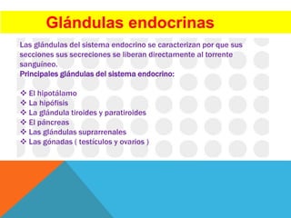 Glándulas endocrinas
Las glándulas del sistema endocrino se caracterizan por que sus
secciones sus secreciones se liberan directamente al torrente
sanguíneo.
Principales glándulas del sistema endocrino:
 El hipotálamo
 La hipófisis
 La glándula tiroides y paratiroides
 El páncreas
 Las glándulas suprarrenales
 Las gónadas ( testículos y ovarios )
 