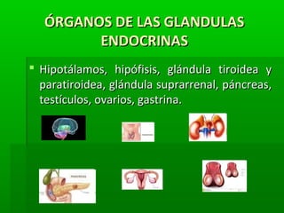 ÓRGANOS DE LAS GLANDULASÓRGANOS DE LAS GLANDULAS
ENDOCRINASENDOCRINAS
 Hipotálamos, hipófisis, glándula tiroidea yHipotálamos, hipófisis, glándula tiroidea y
paratiroidea, glándula suprarrenal, páncreas,paratiroidea, glándula suprarrenal, páncreas,
testículos, ovarios, gastrina.testículos, ovarios, gastrina.
 