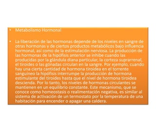 • Metabolismo Hormonal
• La liberación de las hormonas depende de los niveles en sangre de
otras hormonas y de ciertos productos metabólicos bajo influencia
hormonal, así como de la estimulación nerviosa. La producción de
las hormonas de la hipófisis anterior se inhibe cuando las
producidas por la glándula diana particular, la corteza suprarrenal,
el tiroides o las gónadas circulan en la sangre. Por ejemplo, cuando
hay una cierta cantidad de hormona tiroidea en el torrente
sanguíneo la hipófisis interrumpe la producción de hormona
estimulante del tiroides hasta que el nivel de hormona tiroidea
descienda. Por lo tanto, los niveles de hormonas circulantes se
mantienen en un equilibrio constante. Este mecanismo, que se
conoce como homeostasis o realimentación negativa, es similar al
sistema de activación de un termostato por la temperatura de una
habitación para encender o apagar una caldera.
 