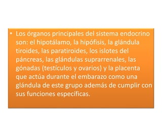 • Los órganos principales del sistema endocrino
son: el hipotálamo, la hipófisis, la glándula
tiroides, las paratiroides, los islotes del
páncreas, las glándulas suprarrenales, las
gónadas (testículos y ovarios) y la placenta
que actúa durante el embarazo como una
glándula de este grupo además de cumplir con
sus funciones específicas.
 