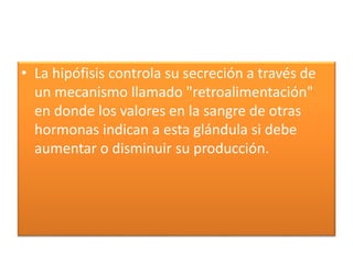 • La hipófisis controla su secreción a través de
un mecanismo llamado "retroalimentación"
en donde los valores en la sangre de otras
hormonas indican a esta glándula si debe
aumentar o disminuir su producción.
 