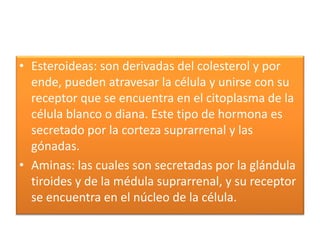 • Esteroideas: son derivadas del colesterol y por
ende, pueden atravesar la célula y unirse con su
receptor que se encuentra en el citoplasma de la
célula blanco o diana. Este tipo de hormona es
secretado por la corteza suprarrenal y las
gónadas.
• Aminas: las cuales son secretadas por la glándula
tiroides y de la médula suprarrenal, y su receptor
se encuentra en el núcleo de la célula.
 