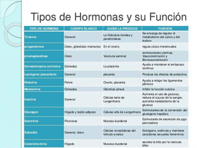 Resultado de imagen para tipos de hormonas del cuerpo humano