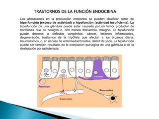 TRASTORNOS DE LA FUNCIÓN ENDOCRINA
Las alteraciones en la producción endocrina se pueden clasificar como de
hiperfunción (exceso de actividad) o hipofunción (actividad insuficiente). La
hiperfunción de una glándula puede estar causada por un tumor productor de
hormonas que es benigno o, con menos frecuencia, maligno. La hipofunción
puede deberse a defectos congénitos, cáncer, lesiones inflamatorias,
degeneración, trastornos de la hipófisis que afectan a los órganos diana,
traumatismos, o, en el caso de enfermedad tiroidea, déficit de yodo. La hipofunción
puede ser también resultado de la extirpación quirúrgica de una glándula o de la
destrucción por radioterapia.
 