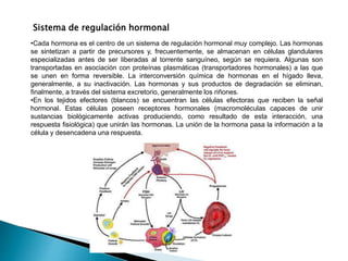 Sistema de regulación hormonal
•Cada hormona es el centro de un sistema de regulación hormonal muy complejo. Las hormonas
se sintetizan a partir de precursores y, frecuentemente, se almacenan en células glandulares
especializadas antes de ser liberadas al torrente sanguíneo, según se requiera. Algunas son
transportadas en asociación con proteínas plasmáticas (transportadores hormonales) a las que
se unen en forma reversible. La interconversión química de hormonas en el hígado lleva,
generalmente, a su inactivación. Las hormonas y sus productos de degradación se eliminan,
finalmente, a través del sistema excretorio, generalmente los riñones.
•En los tejidos efectores (blancos) se encuentran las células efectoras que reciben la señal
hormonal. Estas células poseen receptores hormonales (macromoléculas capaces de unir
sustancias biológicamente activas produciendo, como resultado de esta interacción, una
respuesta fisiológica) que unirán las hormonas. La unión de la hormona pasa la información a la
célula y desencadena una respuesta.
 