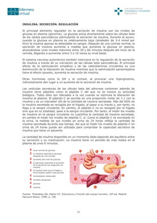 11
INSULINA. SECRECIÓN. REGULACIÓN
El principal elemento regulador en la secreción de insulina son los niveles de
glucosa en plasma (glicemia). La glucosa actúa directamente sobre las células beta
de los islotes pancreáticos estimulando la secreción de insulina. Durante el ayuno,
cuando la glucosa en plasma es relativamente baja (alrededor de 3-4 mmol por
litro) la insulina apenas es detectable en sangre. Después de una comida normal, la
secreción de insulina aumenta a medida que aumenta la glucosa en plasma,
alcanzándose unos niveles máximos entre 30 y 60 minutos después del inicio de la
comida, llegando a aumentar entre 3 a 10 veces su nivel basal.
El sistema nervioso autonómico también interviene en la regulación de la secreción
de insulina a través de su inervación de las células beta pancreáticas. El principal
efecto de la estimulación simpática y de las catecolaminas circulantes es una
disminución de la liberación de insulina mientras que la estimulación parasimpática
tiene el efecto opuesto, aumenta la secreción de insulina.
Otras hormonas como la GH y el cortisol, al provocar una hiperglicemia,
indirectamente dan lugar a un aumento de la secreción de insulina
Las vesículas secretoras de las células beta del páncreas contienen además de
insulina otros péptidos como el péptido C del que no se conoce su actividad
biológica. Todos ellos son liberados a la vez cuando se estimula la liberación de
insulina al plasma. El péptido C se secreta en una proporción molar de 1:1 con la
insulina y es un marcador útil de la cantidad de insulina secretada. Más del 60% de
la insulina secretada es recogida por el hígado, al pasar a su través y, por tanto, no
llega a la sangre circulante. En cambio, el péptido C no es recogido por el hígado
sino que en su totalidad, pasa a la sangre circulante. Por tanto, el medir los niveles
de insulina en la sangre circulante no cuantifica la cantidad de insulina secretada,
en cambio el medir los niveles de péptido C, sí. Como el péptido C es excretado en
la orina, la medida de sus niveles en orina de 24 horas refleja la cantidad de
insulina secretada durante ese tiempo. Así que el medir los niveles de péptido C en
orina de 24 horas puede ser utilizado para comprobar la capacidad secretora de
insulina que tiene un paciente.
La cantidad de insulina disponible en un momento dado depende del equilibrio entre
su secreción y su inactivación. La insulina tiene un período de vida media en el
plasma de unos 6 minutos.
A nivel normal de glucosa
B el intestino absorbe la glucosa
después de una comida
C aumento del nivel de glucosa
D el páncreas responde al aumento
de la glucemia con segreción de
insulina
E la insulina hace que el hígado y
otros tejidos capten más glucosa
F homeostasia restaurada
1 torrente sanguíneo
2 glucosa
3 insulina
Fuente: Thibodeau GA, Patton KT. Estructura y Función del cuerpo humano. 10ª ed. Madrid:
Harcourt Brace; 1998. p. 196
 