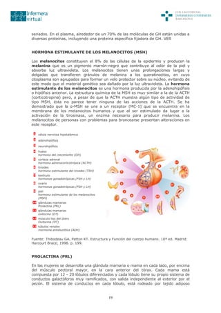 19
seriados. En el plasma, alrededor de un 70% de las moléculas de GH están unidas a
diversas proteínas, incluyendo una proteína específica fijadora de GH. VER
HORMONA ESTIMULANTE DE LOS MELANOCITOS (MSH)
Los melanocitos constituyen el 8% de las células de la epidermis y producen la
melanina que es un pigmento marrón-negro que contribuye al color de la piel y
absorbe luz ultravioleta. Los melanocitos tienen unas prolongaciones largas y
delgadas que transfieren gránulos de melanina a los queratinocitos, en cuyo
citoplasma son agrupados para formar un velo protector sobre su núcleo, evitando de
este modo que el material genético sea dañado por la luz ultravioleta. La hormona
estimulante de los melanocitos es una hormona producida por la adenohipófisis
o hipófisis anterior. La estructura química de la MSH es muy similar a la de la ACTH
(corticotropina) pero, a pesar de que la ACTH muestra algún tipo de actividad de
tipo MSH, ésta no parece tener ninguna de las acciones de la ACTH. Se ha
demostrado que la α-MSH se une a un receptor (MC-1) que se encuentra en la
membrana de los melanocitos humanos y que al ser estimulado da lugar a la
activación de la tirosinasa, un enzima necesario para producir melanina. Los
melanocitos de personas con problemas para broncearse presentan alteraciones en
este receptor.
1 célula nerviosa hipotalámica
2 adenohipófisis
3 neurohipófisis
4 hueso
hormona del crecimiento (GH)
5 corteza adrenal
hormona adrenocorticotrópica (ACTH)
6 tiroides
hormona estimulante del tiroides (TSH)
7 testículo
hormonas gonadotrópicas (FSH y LH)
8 ovario
hormonas gonadotrópicas (FSH y LH)
9 piel
hormona estimulante de los melanocitos
(MSH)
10 glándulas mamarias
Prolactina (PRL)
11 glándulas mamarias
oxitocina (OT)
12 músculo liso del útero
Oxitocina (OT)
13 túbulos renales
mormona antidiurética (ADH)
Fuente: Thibodeau GA, Patton KT. Estructura y Función del cuerpo humano. 10ª ed. Madrid:
Harcourt Brace; 1998. p. 199.
PROLACTINA (PRL)
En las mujeres se desarrolla una glándula mamaria o mama en cada lado, por encima
del músculo pectoral mayor, en la cara anterior del tórax. Cada mama está
compuesta por 12 - 20 lóbulos diferenciados y cada lóbulo tiene su propio sistema de
conductos galactóforos muy ramificados, con salida independiente al exterior por el
pezón. El sistema de conductos en cada lóbulo, está rodeado por tejido adiposo
 